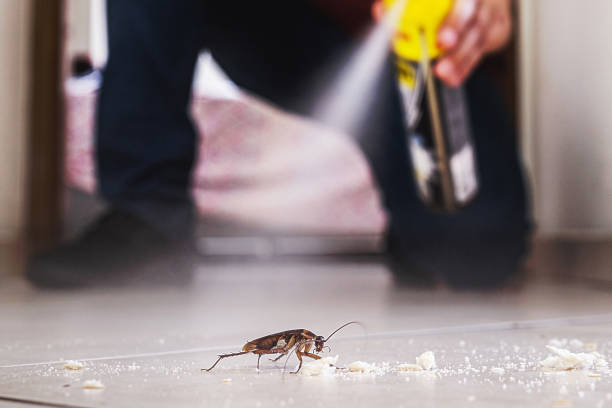 Best Pest Prevention Services  in Canyon Creek, WA