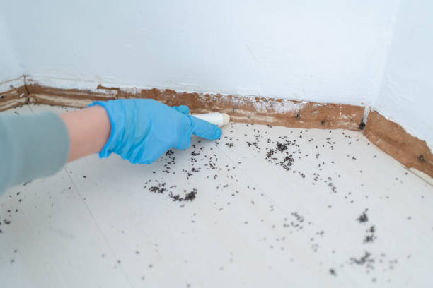 Pest Control Cost in Canyon Creek, WA
